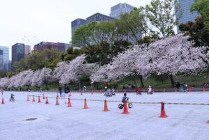 Japan – Love in Tokyo